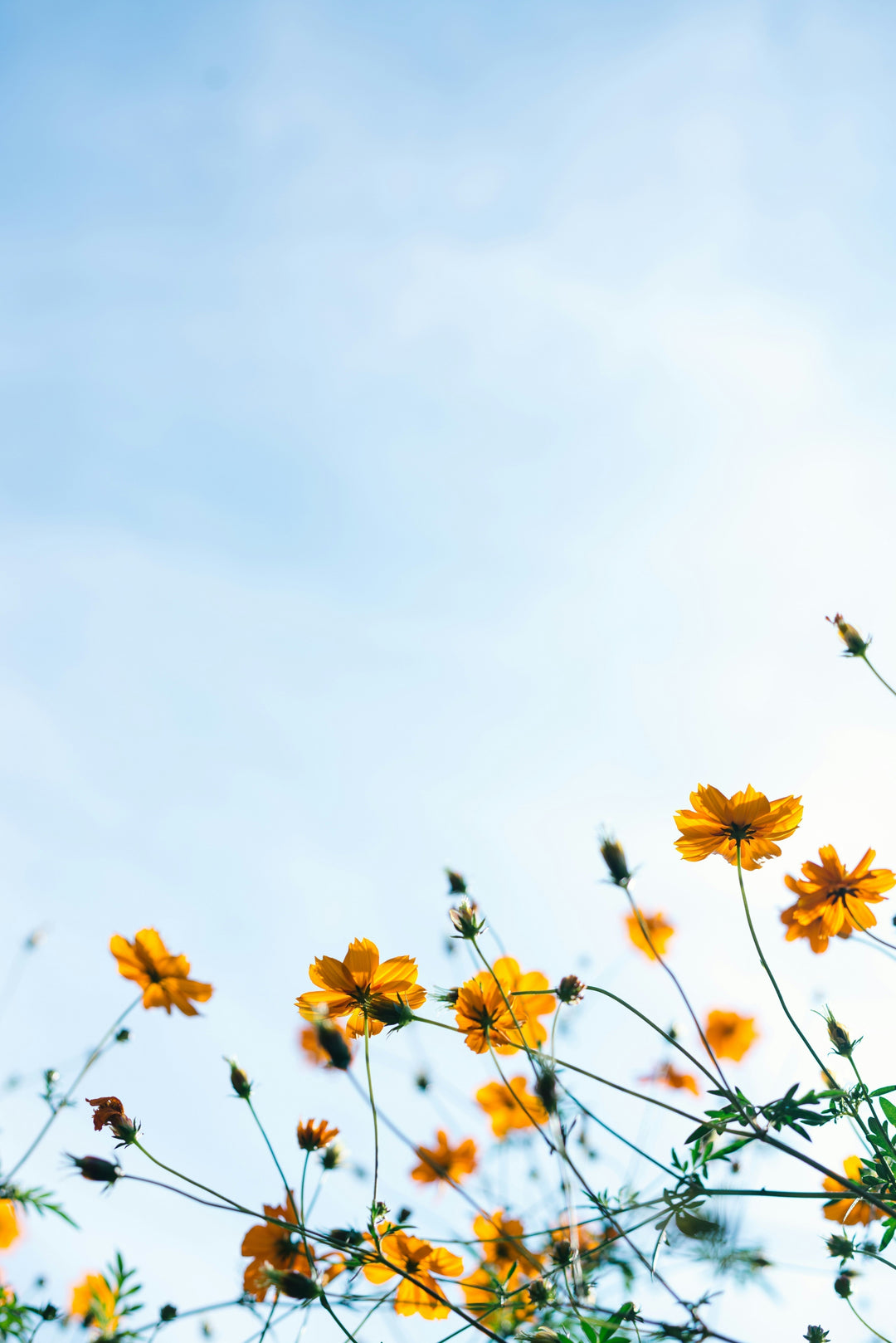 10 Creative Ideas For Summer