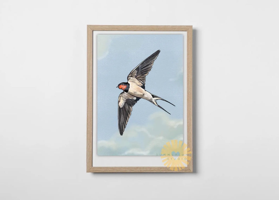 Swallow In Flight Art Print